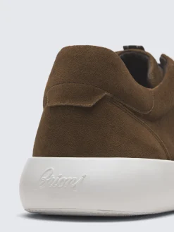 New Brioni suede Olympia sneakers Brown